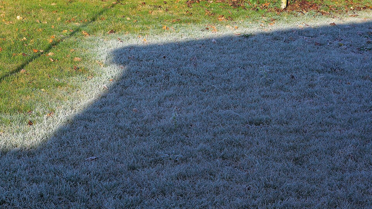 Afastar as plantas do vidro frio